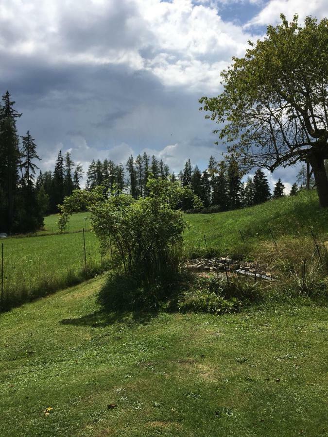 Haus Katrin Villa Sankt Marein bei Knittelfeld Dış mekan fotoğraf